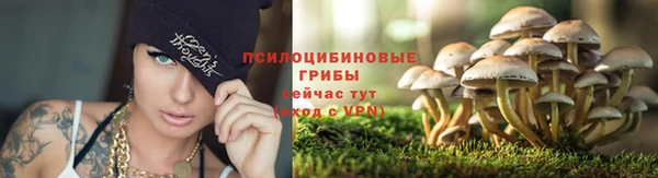 альфа пвп Арсеньев