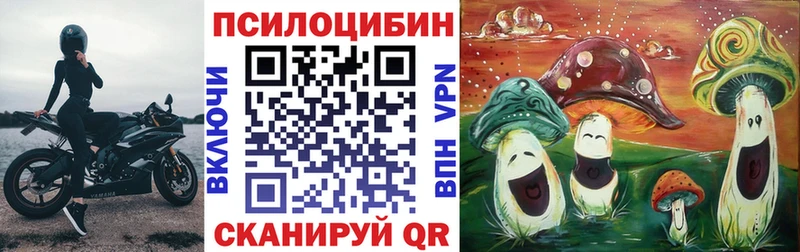 Псилоцибиновые грибы мицелий  где можно купить наркотик  Куса 